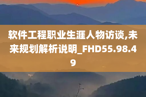 软件工程职业生涯人物访谈,未来规划解析说明_FHD55.98.49