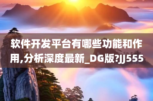 软件开发平台有哪些功能和作用,分析深度最新_DG版?JJ555