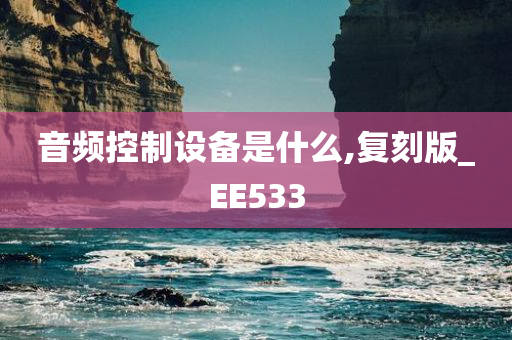 音频控制设备是什么,复刻版_EE533