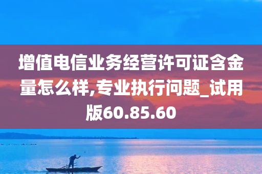 增值电信业务经营许可证含金量怎么样,专业执行问题_试用版60.85.60