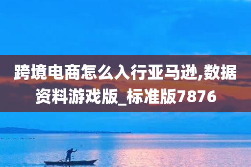 跨境电商怎么入行亚马逊,数据资料游戏版_标准版7876