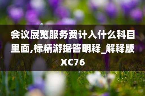 会议展览服务费计入什么科目里面,标精游据答明释_解释版XC76