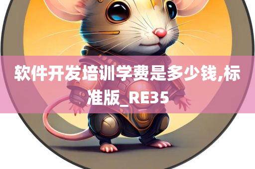 软件开发培训学费是多少钱,标准版_RE35