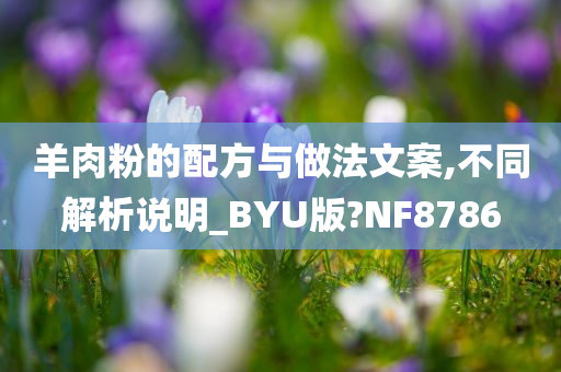 羊肉粉的配方与做法文案,不同解析说明_BYU版?NF8786