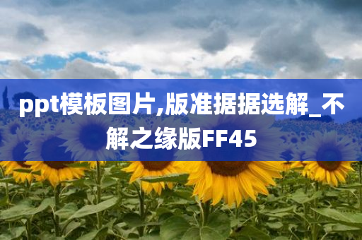 ppt模板图片,版准据据选解_不解之缘版FF45