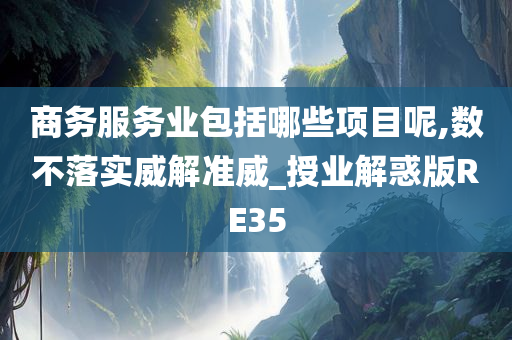 商务服务业包括哪些项目呢,数不落实威解准威_授业解惑版RE35