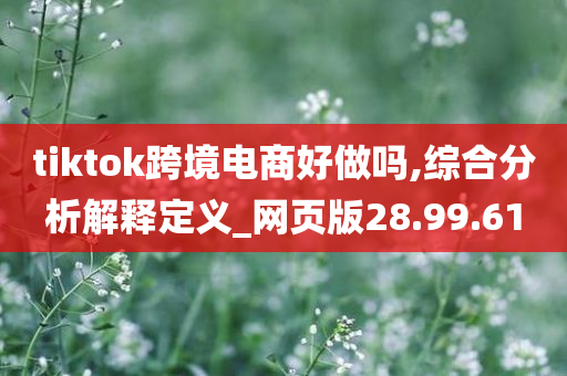 tiktok跨境电商好做吗,综合分析解释定义_网页版28.99.61