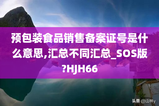 预包装食品销售备案证号是什么意思,汇总不同汇总_SOS版?HJH66