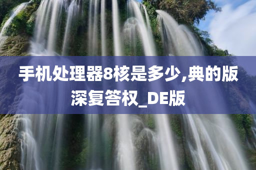 手机处理器8核是多少,典的版深复答权_DE版