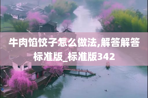 牛肉馅饺子怎么做法,解答解答标准版_标准版342