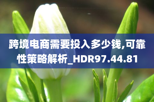 跨境电商需要投入多少钱,可靠性策略解析_HDR97.44.81