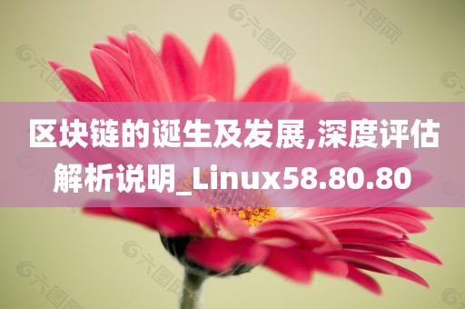 区块链的诞生及发展,深度评估解析说明_Linux58.80.80