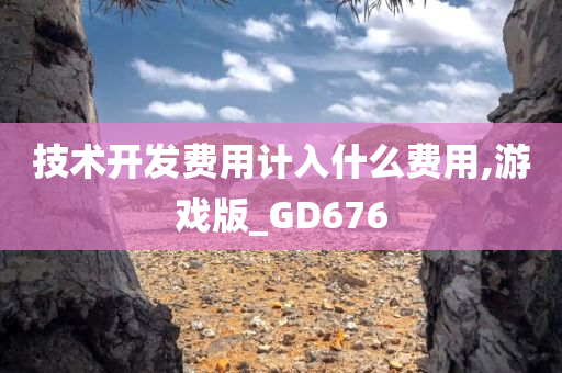 技术开发费用计入什么费用,游戏版_GD676