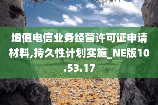 增值电信业务经营许可证申请材料,持久性计划实施_NE版10.53.17