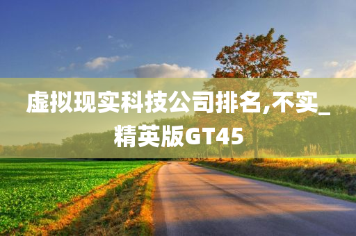 虚拟现实科技公司排名,不实_精英版GT45