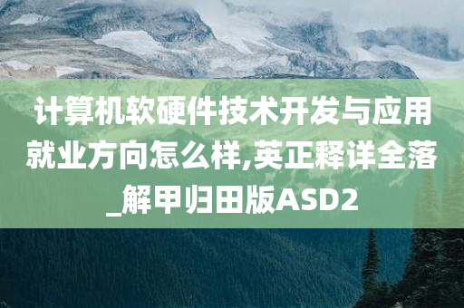 计算机软硬件技术开发与应用就业方向怎么样,英正释详全落_解甲归田版ASD2