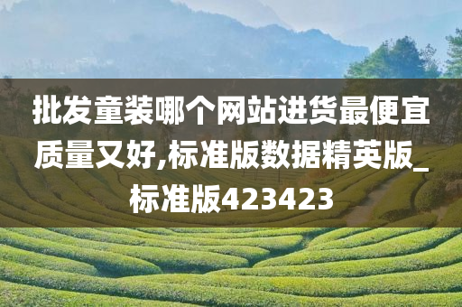 批发童装哪个网站进货最便宜质量又好,标准版数据精英版_标准版423423