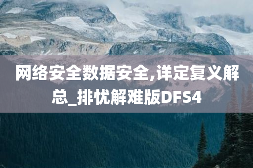 网络安全数据安全,详定复义解总_排忧解难版DFS4