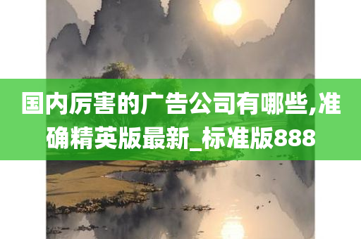 国内厉害的广告公司有哪些,准确精英版最新_标准版888