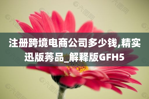 注册跨境电商公司多少钱,精实迅版莠品_解释版GFH5