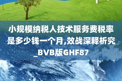 小规模纳税人技术服务费税率是多少钱一个月,效战深释析究_BVB版GHF87