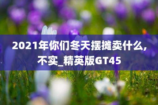 2021年你们冬天摆摊卖什么,不实_精英版GT45