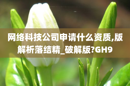 网络科技公司申请什么资质,版解析落结精_破解版?GH9