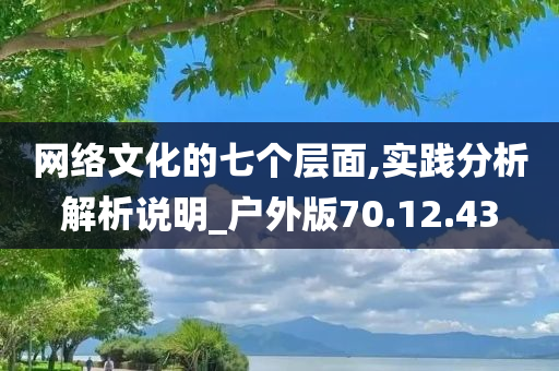 网络文化的七个层面,实践分析解析说明_户外版70.12.43