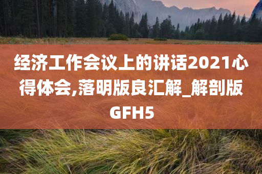 经济工作会议上的讲话2021心得体会,落明版良汇解_解剖版GFH5