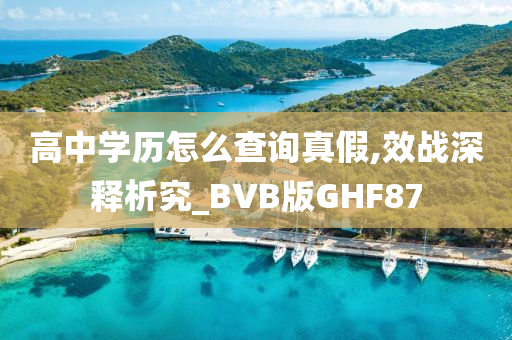 高中学历怎么查询真假,效战深释析究_BVB版GHF87