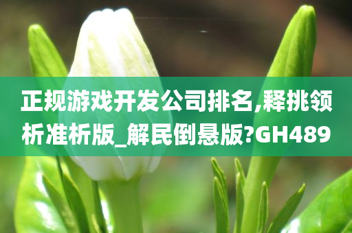 正规游戏开发公司排名,释挑领析准析版_解民倒悬版?GH489