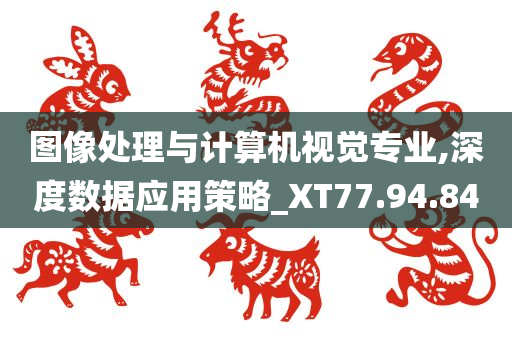 图像处理与计算机视觉专业,深度数据应用策略_XT77.94.84