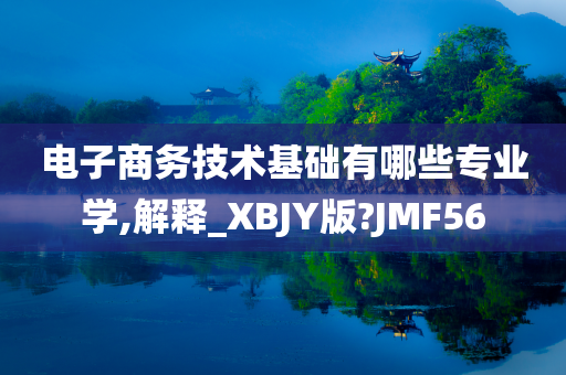 电子商务技术基础有哪些专业学,解释_XBJY版?JMF56