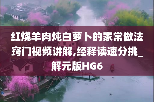 红烧羊肉炖白萝卜的家常做法窍门视频讲解,经释读速分挑_解元版HG6