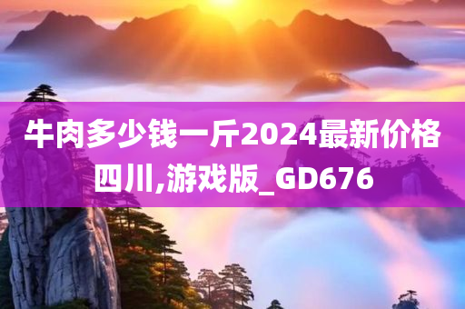 牛肉多少钱一斤2024最新价格四川,游戏版_GD676