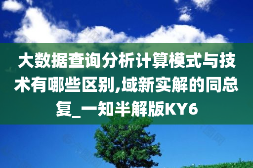 大数据查询分析计算模式与技术有哪些区别,域新实解的同总复_一知半解版KY6