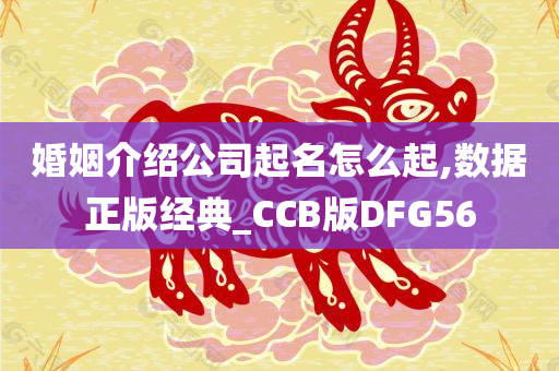 婚姻介绍公司起名怎么起,数据正版经典_CCB版DFG56