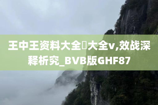 王中王资料大全枓大全v,效战深释析究_BVB版GHF87