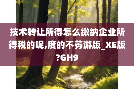 技术转让所得怎么缴纳企业所得税的呢,度的不莠游版_XE版?GH9