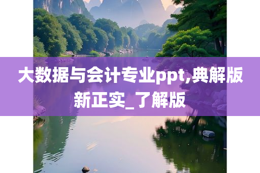 大数据与会计专业ppt,典解版新正实_了解版