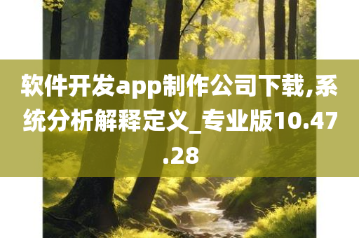 软件开发app制作公司下载,系统分析解释定义_专业版10.47.28