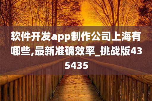 软件开发app制作公司上海有哪些,最新准确效率_挑战版435435