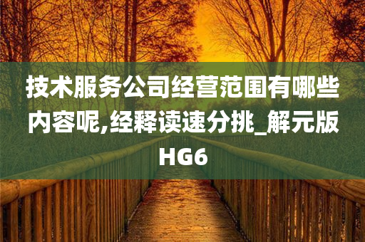 技术服务公司经营范围有哪些内容呢,经释读速分挑_解元版HG6