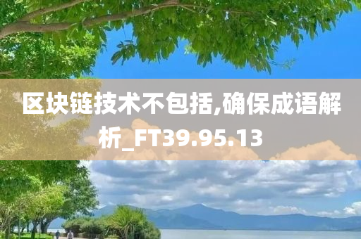 区块链技术不包括,确保成语解析_FT39.95.13