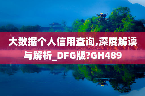 大数据个人信用查询,深度解读与解析_DFG版?GH489