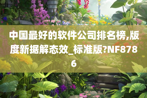 中国最好的软件公司排名榜,版度新据解态效_标准版?NF8786