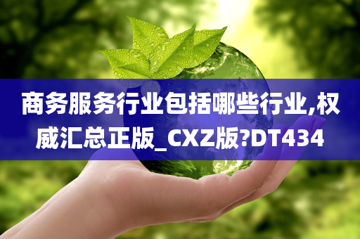 商务服务行业包括哪些行业,权威汇总正版_CXZ版?DT434