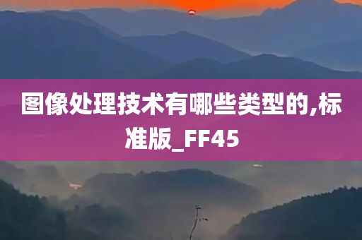 图像处理技术有哪些类型的,标准版_FF45