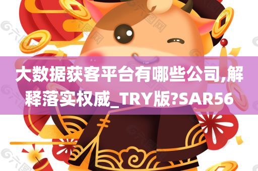 大数据获客平台有哪些公司,解释落实权威_TRY版?SAR56