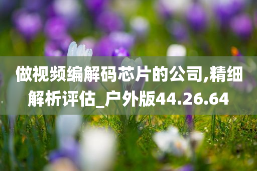 做视频编解码芯片的公司,精细解析评估_户外版44.26.64